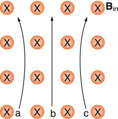 index-805_1.jpg