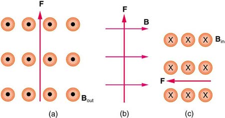 index-808_2.jpg