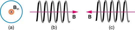 index-811_4.jpg