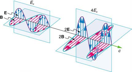 index-880_1.jpg
