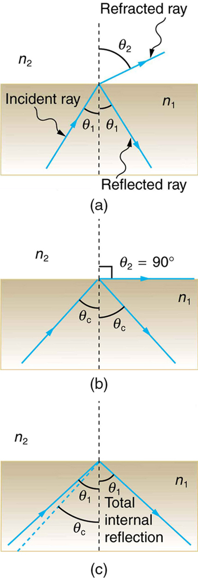 index-899_1.jpg