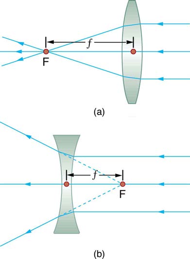 index-910_1.jpg