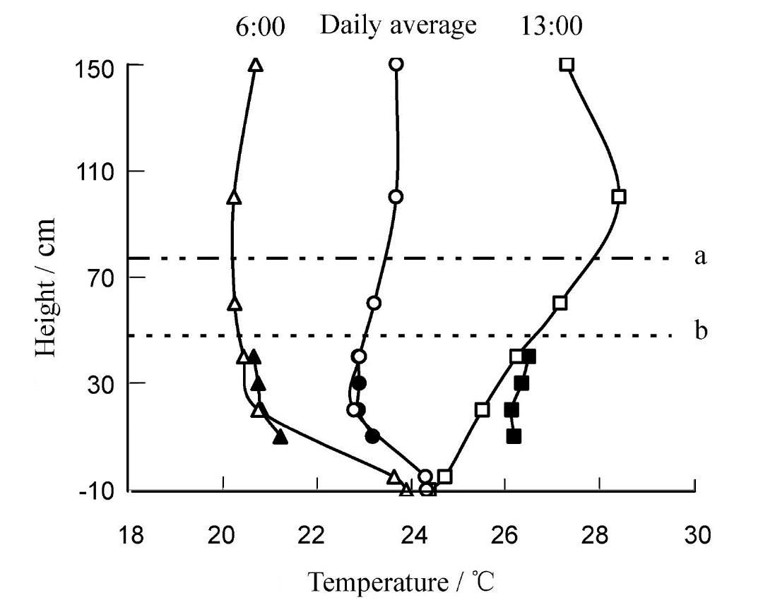 index-176_1.jpg