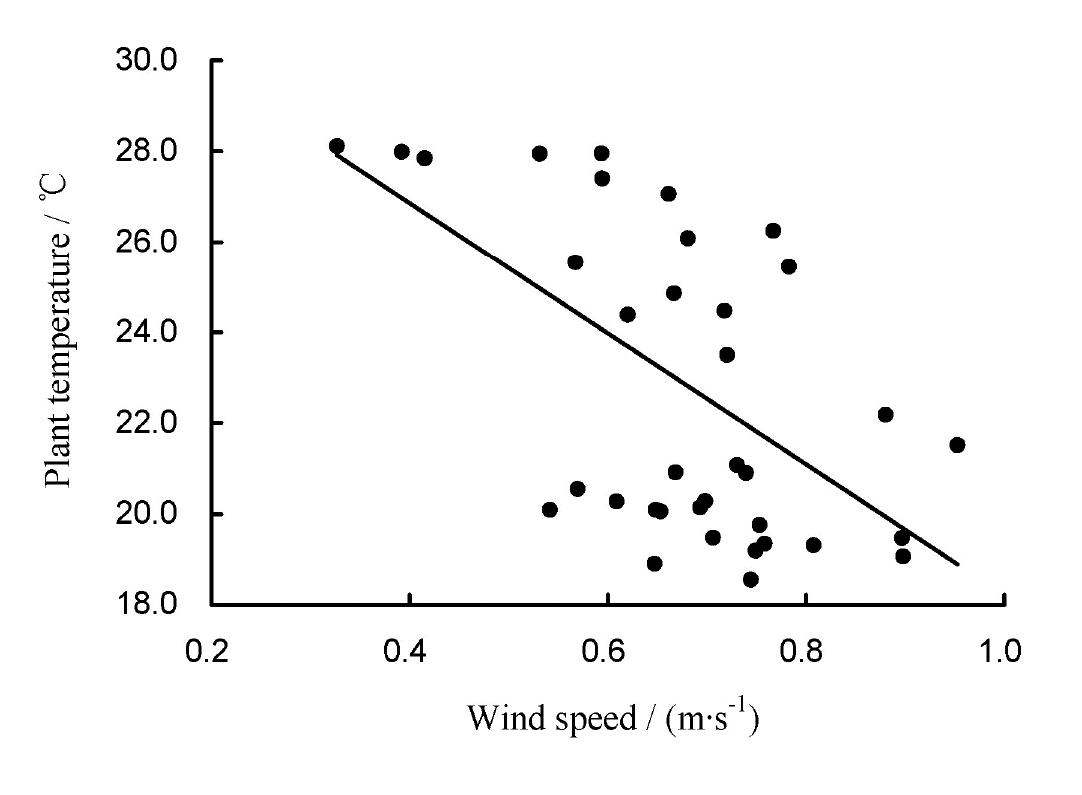 index-178_1.jpg