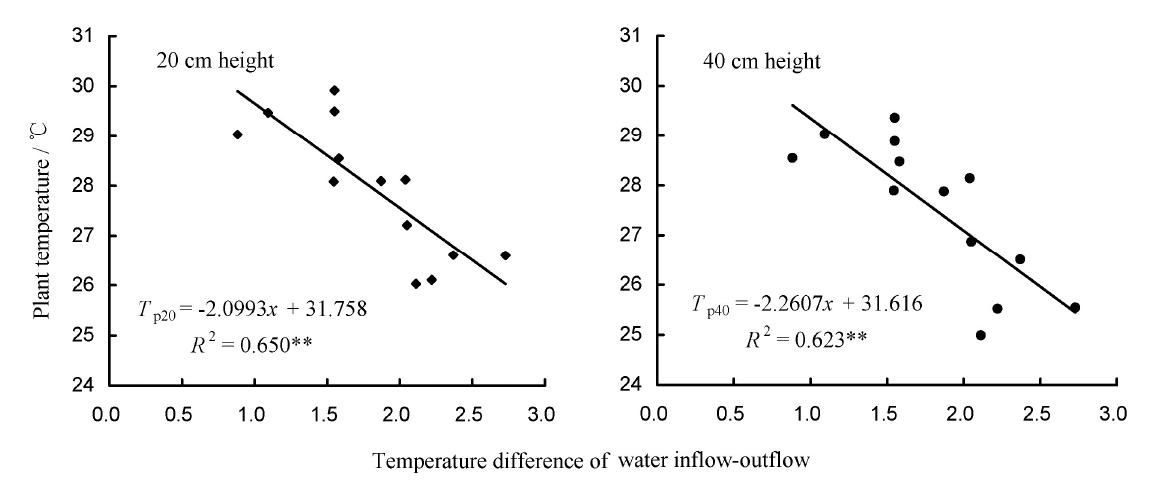 index-181_1.jpg