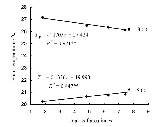 index-181_2.jpg