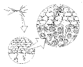 index-58_2.png