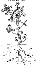 index-95_2.png