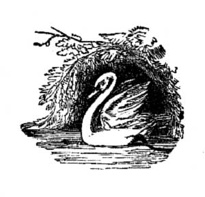 img31.png