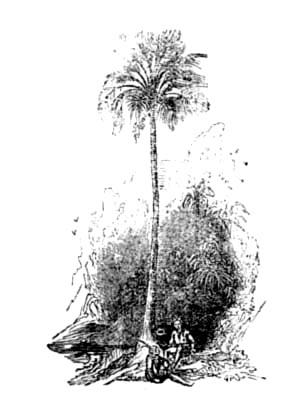 img35.png