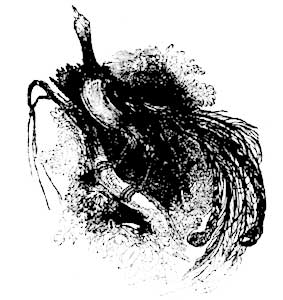 img38.png