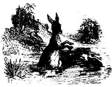 img40.png