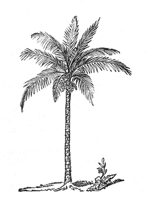 img5.png