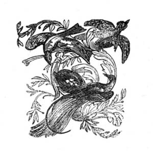 img9.png
