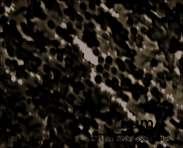 index-224_1.jpg