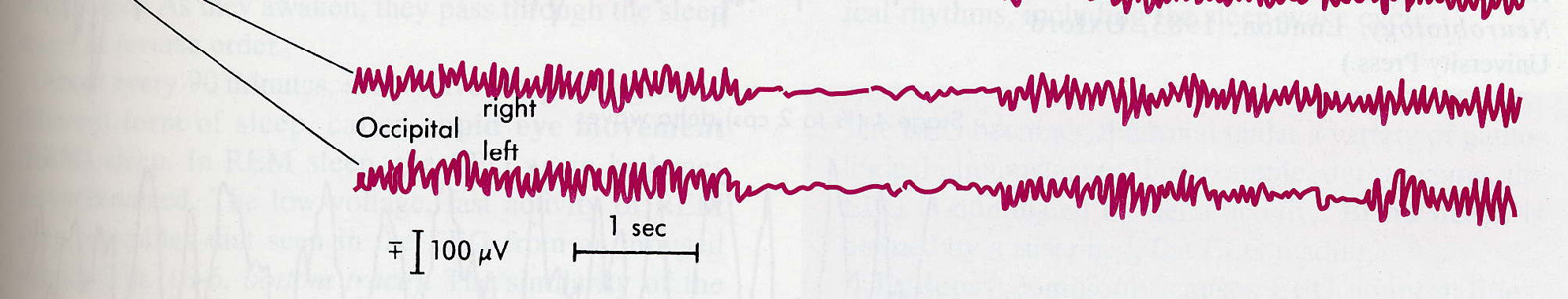 index-71_2.jpg