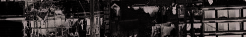 index-153_1.jpg
