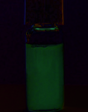 index-181_4.jpg
