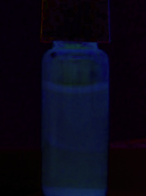 index-181_6.jpg
