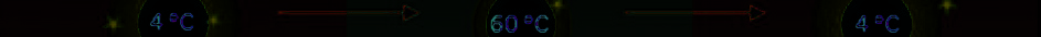 index-186_10.jpg