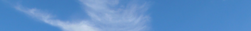 index-325_1.png