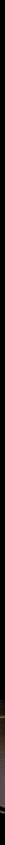 index-19_1.jpg