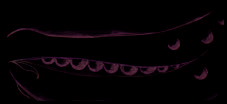 index-29_1.jpg