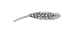 img43.png