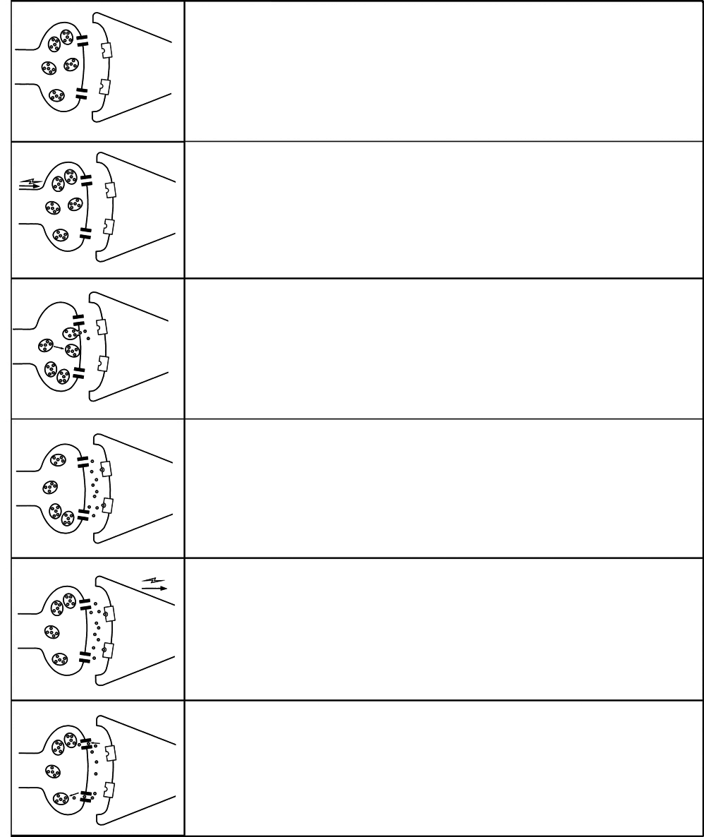 index-184_1.png