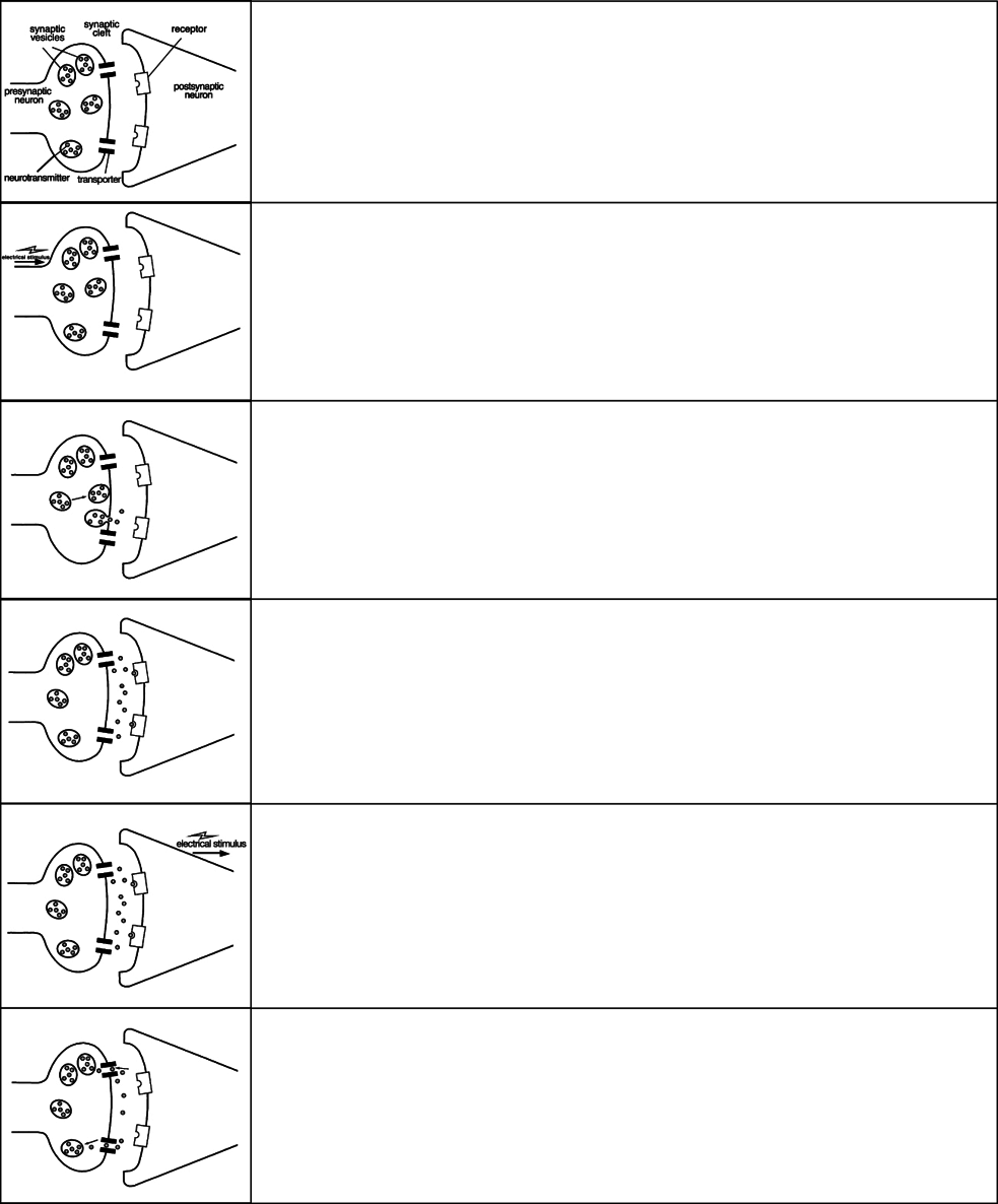index-186_1.png