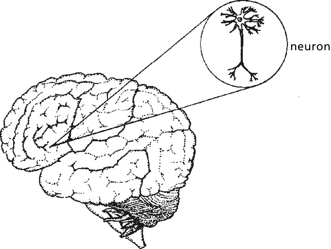 index-187_1.png