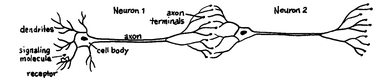 index-189_1.png