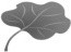 img5.png