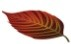 img8.png