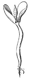 index-42_1.png