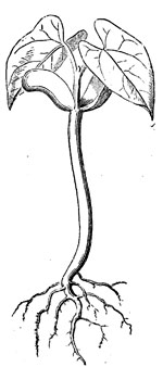 index-42_2.png