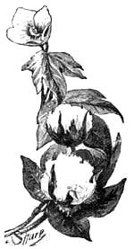 index-46_1.png