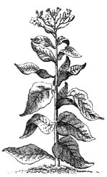 index-46_3.png