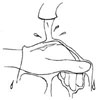 img76.png