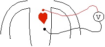 index-224_3.jpg
