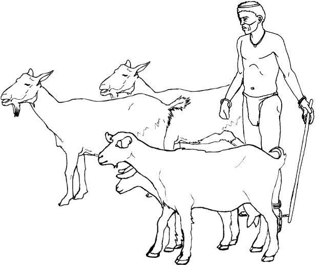 index-108_2.jpg