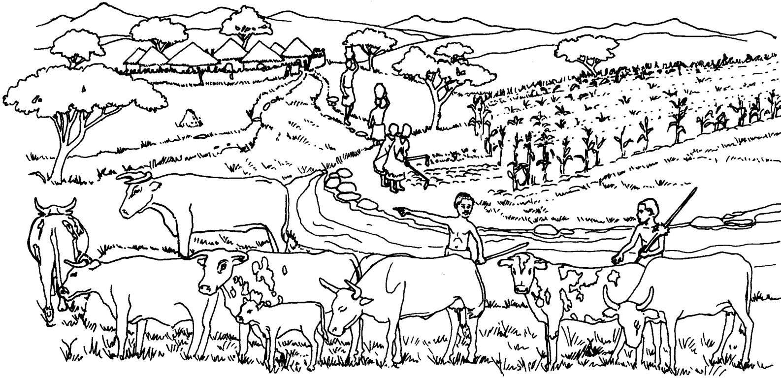 index-110_1.jpg