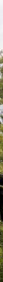 index-33_1.png