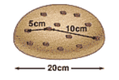 img8.png