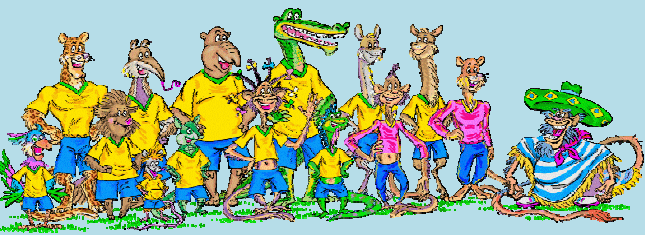 img7.png