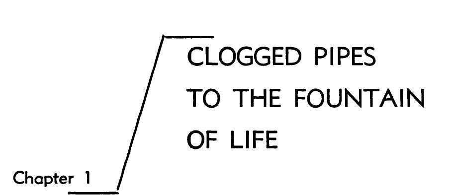 index-22_1.jpg
