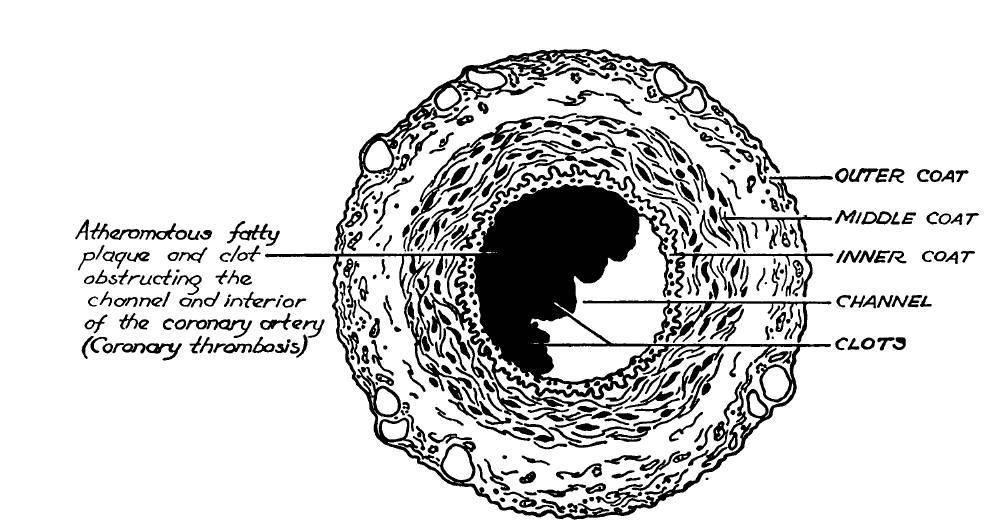 index-41_1.jpg