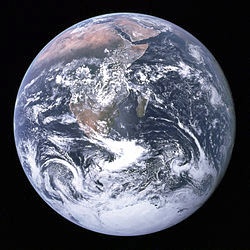 img9.jpg