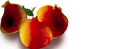 img7.jpg