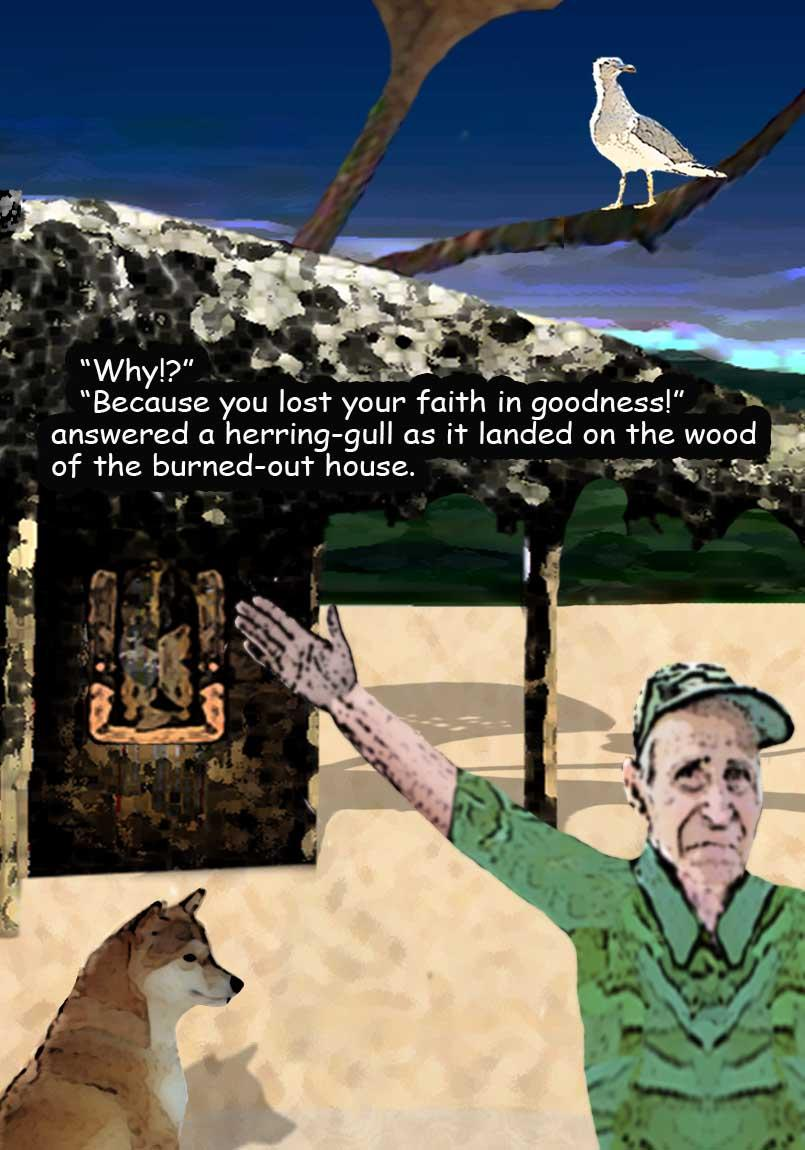 img16.png